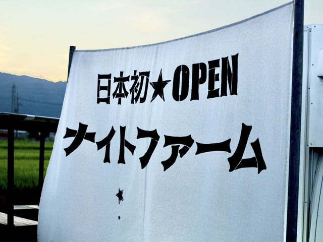 ナイトファーム☆幻想的な夜の畑で収穫体験_BNRファーム