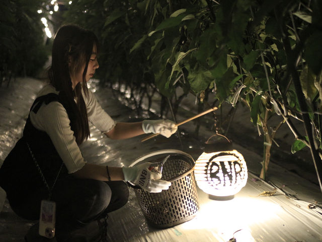 BNRファーム