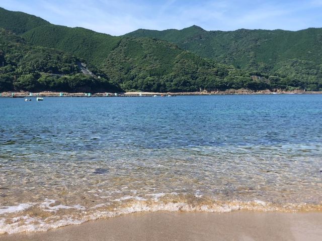 ブルーツーリズムくまの