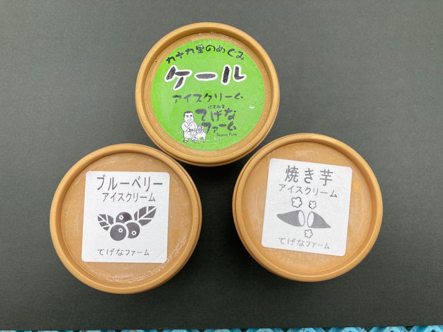 地元の酪農家さんに委託し、てげなファームの野菜、キューバミント、ブルーベリーで作った自慢のアイスです♪(新作チョコミント完成しました)_てげなファーム