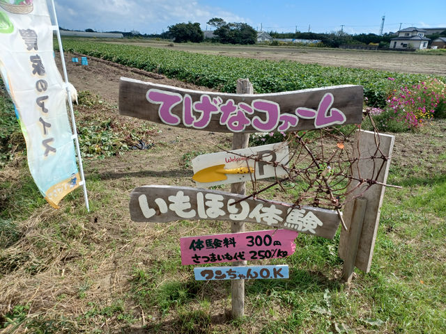 ワンちゃんもOKです!
お子さまからお年寄りまで楽しめる「芋ほり体験」皆様のお越しを農園一同心よりお待ちしております♪_てげなファーム