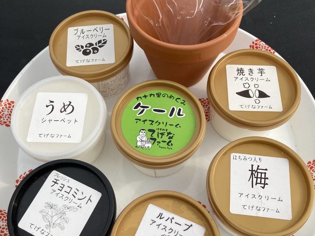 地元の酪農家さんに委託し、てげなファームの野菜、キューバミント、ブルーベリーで作った自慢のアイスです♪(新作うめ・ルバーブ完成しました)_てげなファーム