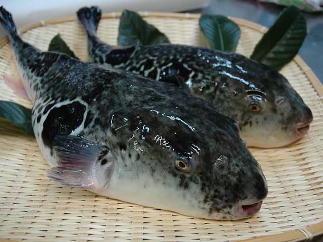 ふぐ問屋 なかざき