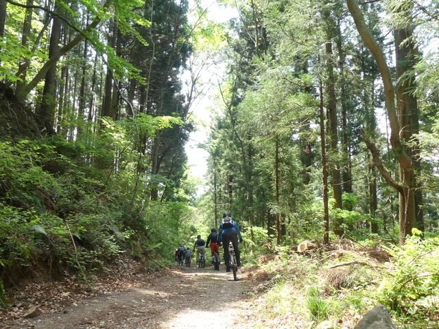 幅の広い緩やかな山道を走ります。_バイクライフサポートシステム