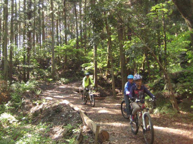 自転車に乗れれば大丈夫!_バイクライフサポートシステム