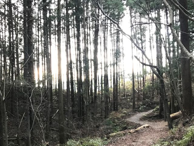 止まって見ればなかなかの山の中。_バイクライフサポートシステム