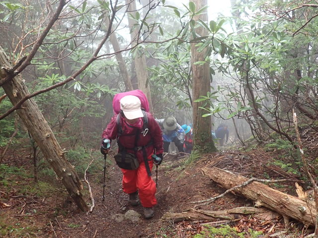 御座山山頂直下_Over the age mountain tour