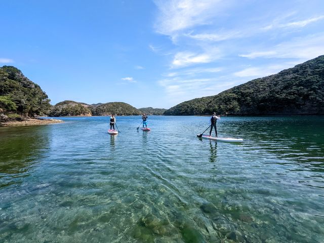 綺麗な海にはお魚さんたちもいっぱい!_あそうベイパークSUP