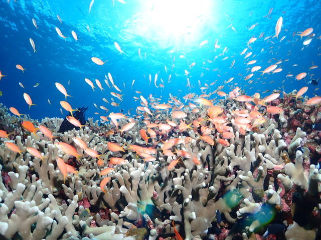 Sea connection