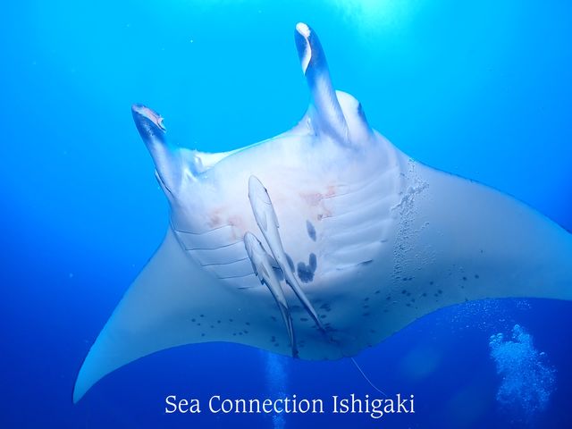 Sea connection