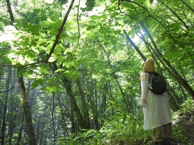 森に包まれて深呼吸!_森とひとと木