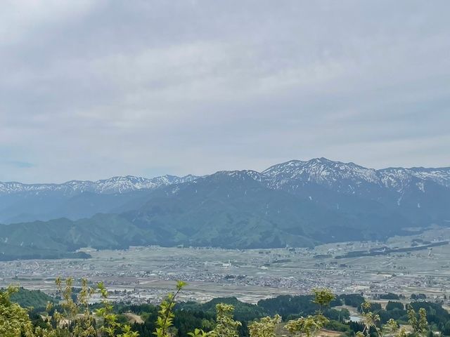 ウオヌマダウンヒル サイクリングツアーズ