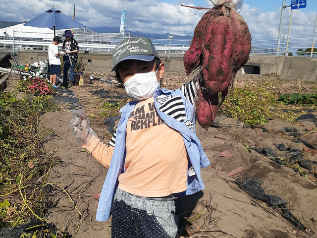 土佐ひらやま農園