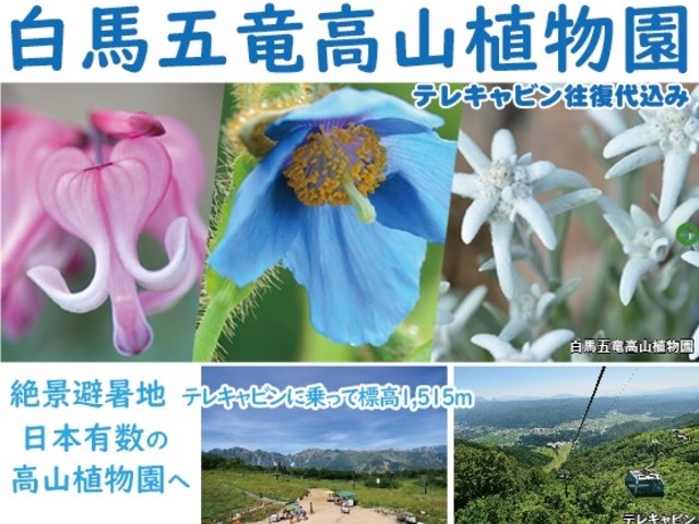 株式会社トラベルプラザ