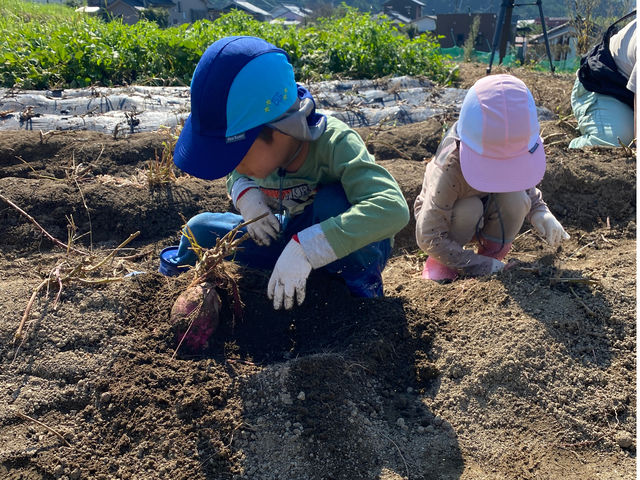 おわせむかい農園