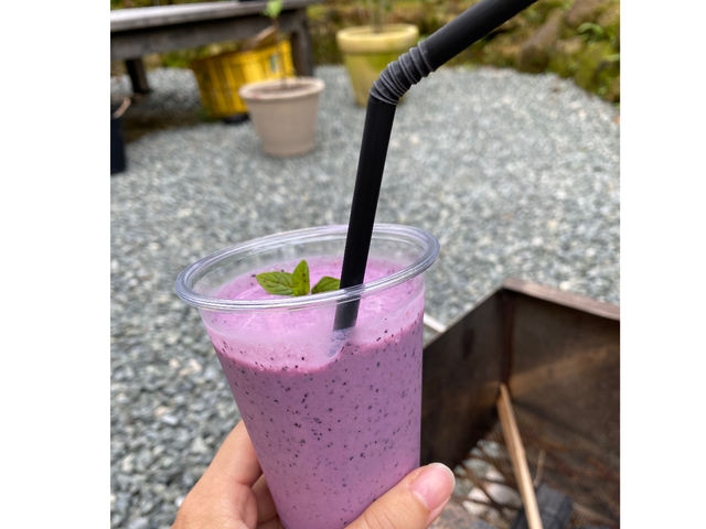 収穫したブルーベリーを使ったスムージー。3分以内にお召し上がりください。_おわせむかい農園