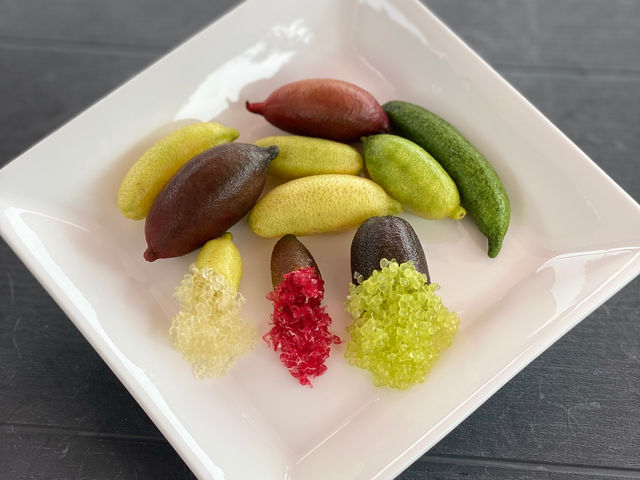 フィンガーライムを販売しております。_おわせむかい農園