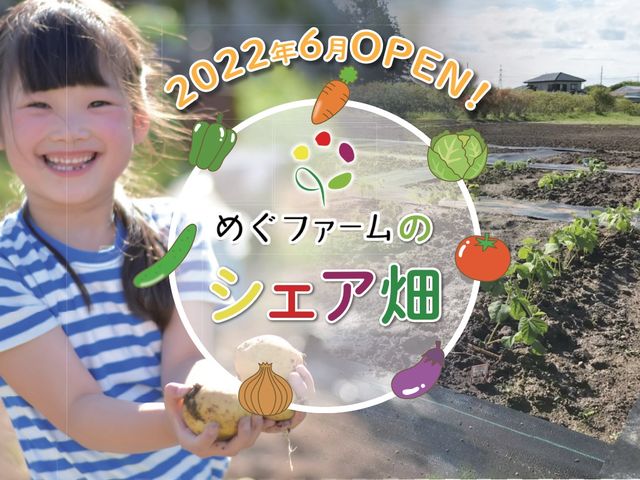 季節に応じた野菜を育てて収穫できるシェア畑です♪_めぐファーム・ゴカ