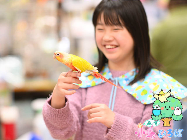 森ノ宮 小鳥ひろば