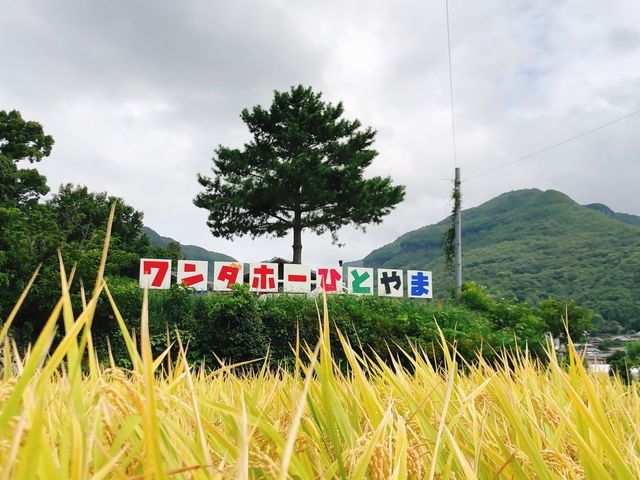 秋のワンダホー_ワンダホーひとやま