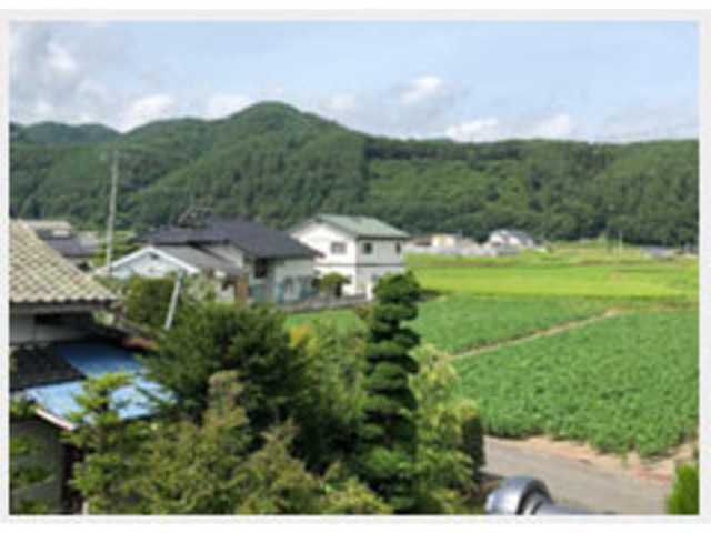 長和町大字古町_くすの樹(信州)