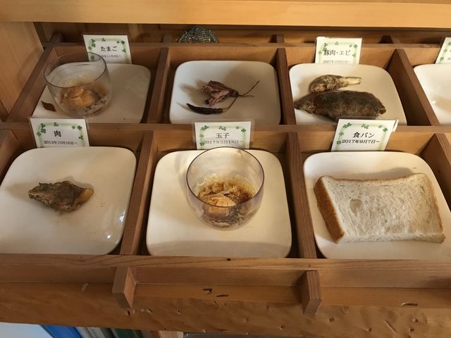 店内の抗酸化(還元)力、腐敗抑制実験コーナー_還元陶板浴『虎杖伝説の里 ふじと』