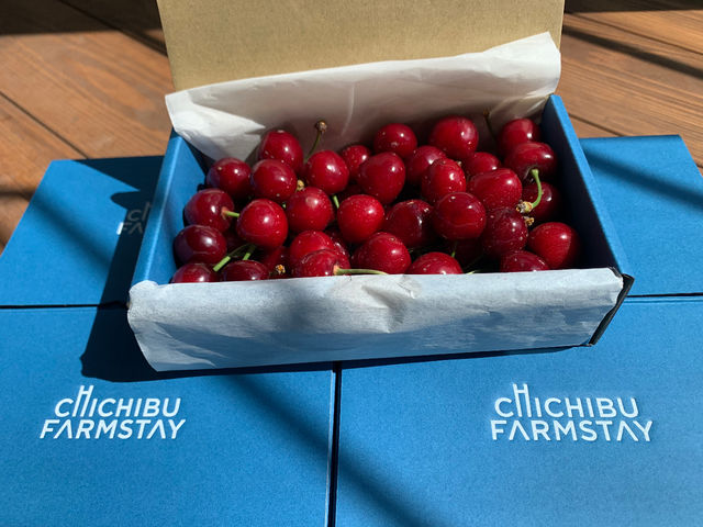 CHICHIBU FARMSTAY(秩父ファームステイ)