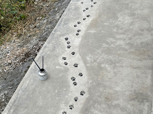 犬の足あと_もちだブルーベリー園