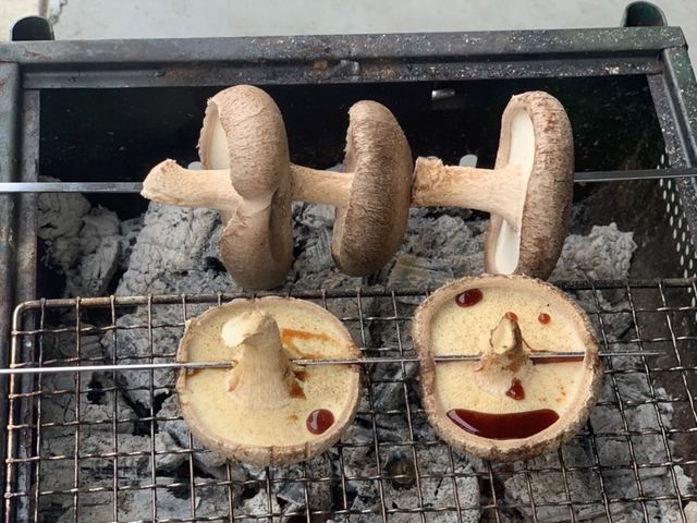 採ったしいたけをその場でBBQ体験♪手ぶらでOK!
プリプリでジューシーなしいたけをご賞味くださいませ♪_アグリバンク