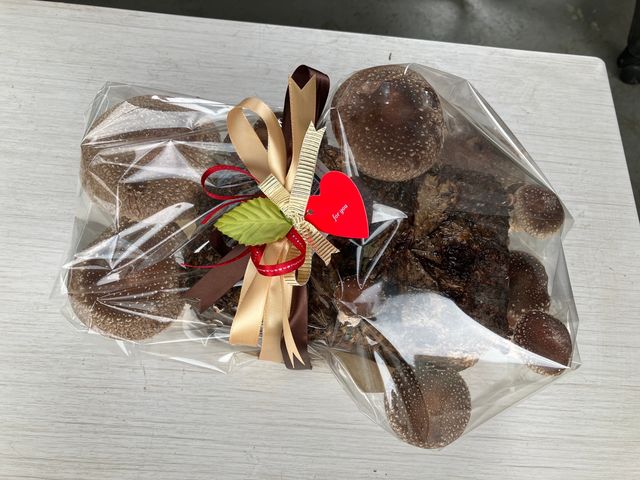 菌床栽培しいたけ付(ラッピング込)_アグリバンク