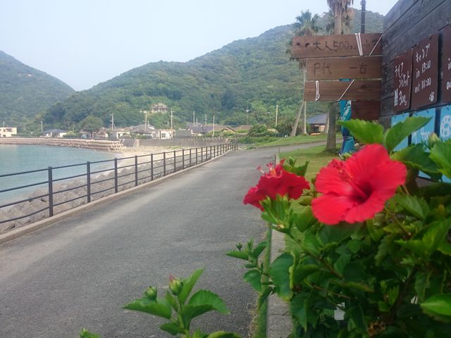 目の前は海が広がります_結乃里キャンプ場