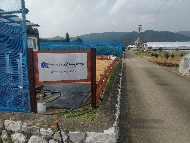 ベリーズ農園みっかび