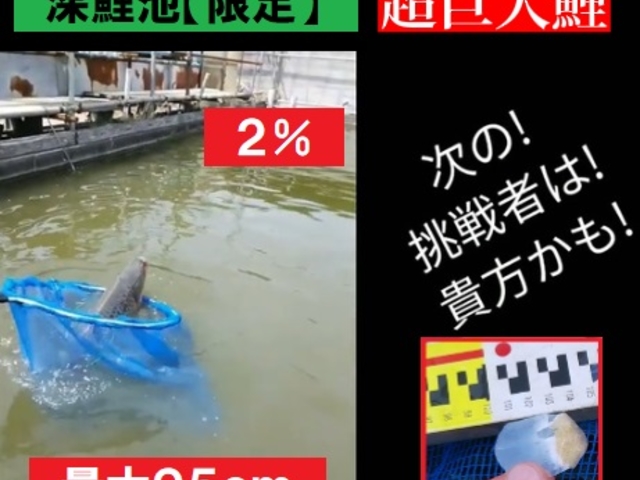 鯉釣の最大の魅力は
力強い引き加減!
【深鯉池】_つり堀・南畑R463