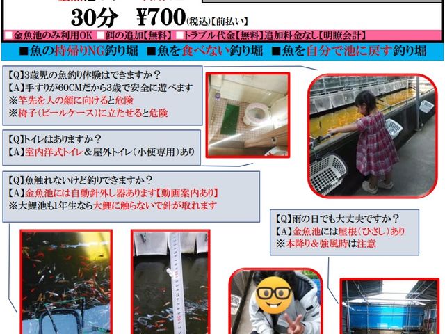 【30分】¥700
簡単でごめんね!
自動針外し器付き!
【金魚池限定料金】_つり堀・南畑R463