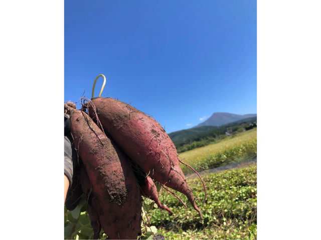 磐梯山が見える畑のロケーションは最&高_カズ屋