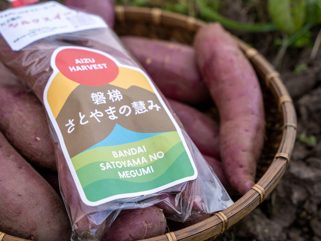 磐梯町認定の「磐梯さとやまの慧み」ブランドのサツマイモです。_カズ屋