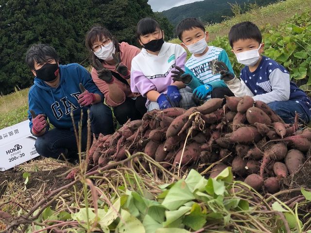 収穫体験の様子です。お子様のテンションMAXになります!_カズ屋