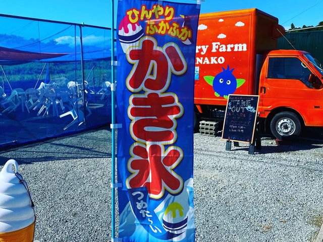 Blueberry Farm HAMANAKO