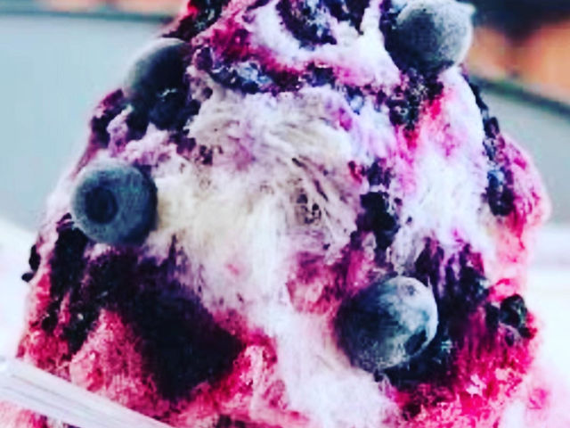 Blueberry Farm HAMANAKO
