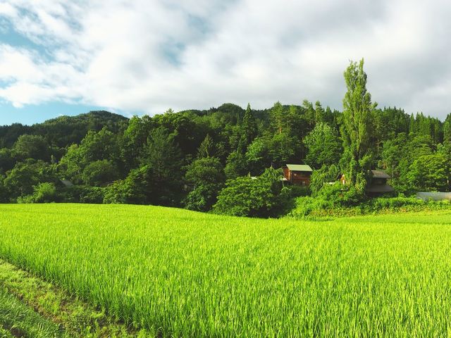 森の自然学校