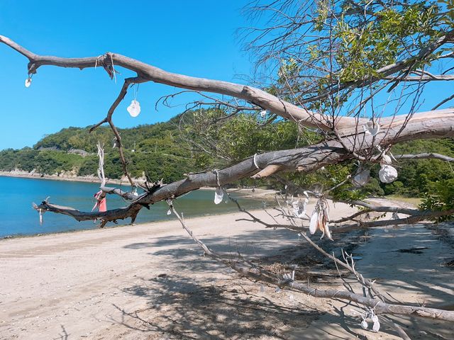 Slow Base @Shimanami