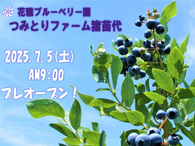 7/12〜はスムージーなどのスイーツの提供が始まります!_つみとりファーム猪苗代