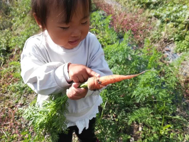 子供たちに安全でおいしい野菜を食べてもらいたい。_CamatoQuwa
