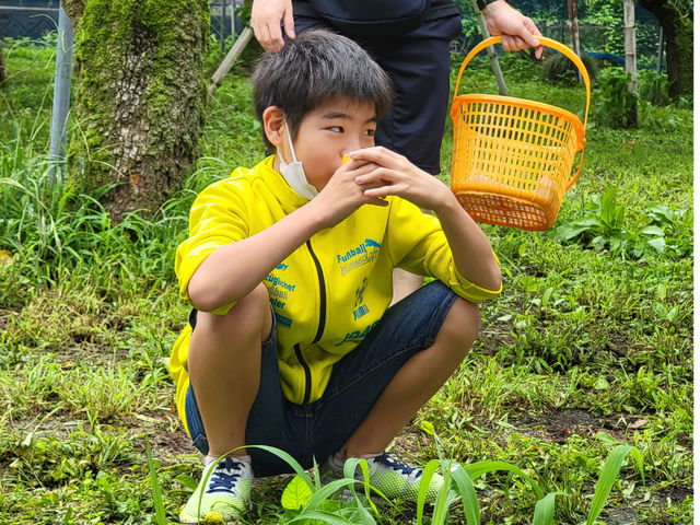 もぎたて丸かじり_清水果樹園