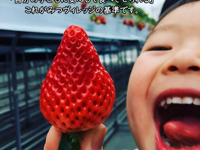 八百ちゃんいちご狩り