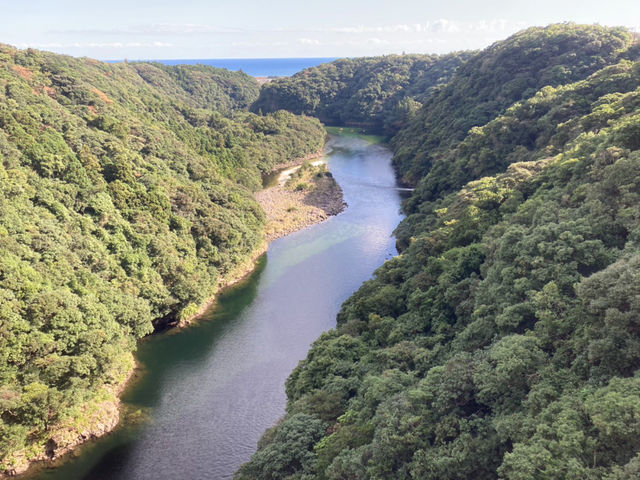 安房川はとても穏やかな川です♪_屋久島リバーカヤックebis