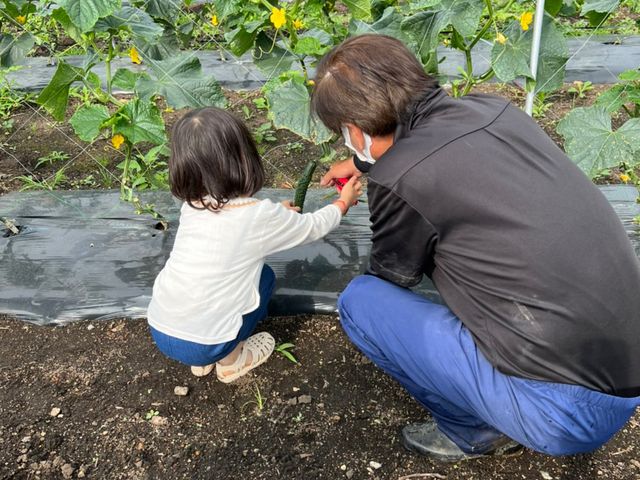 小さなお子様も安心_58ロハスファーム ブルーベリー狩り