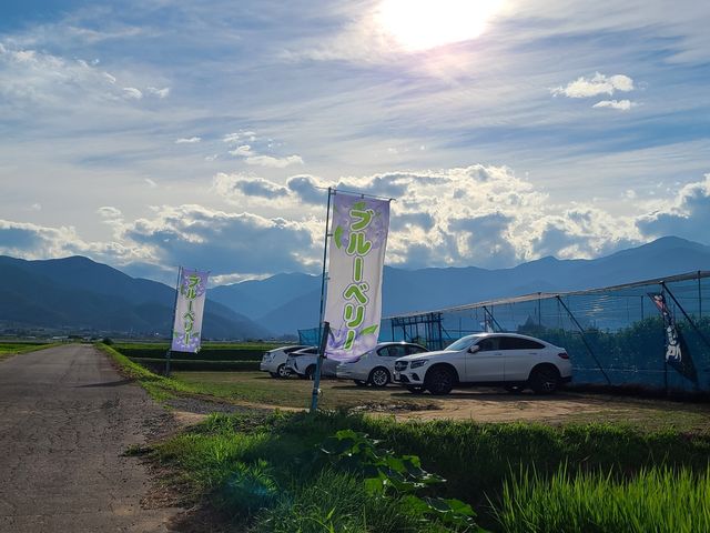 ブルーベリー園外観_豊かな実り農縁 ブルーベリーlov.