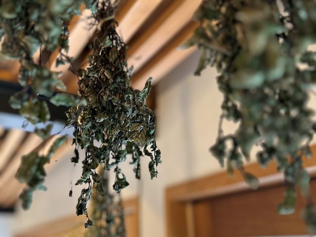 店内_倉敷薄荷陳列所