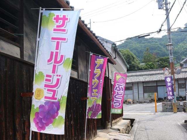 別場所にて直売所もございます♪_西尾農園(柏原市観光ぶどうセンター太平寺支部)